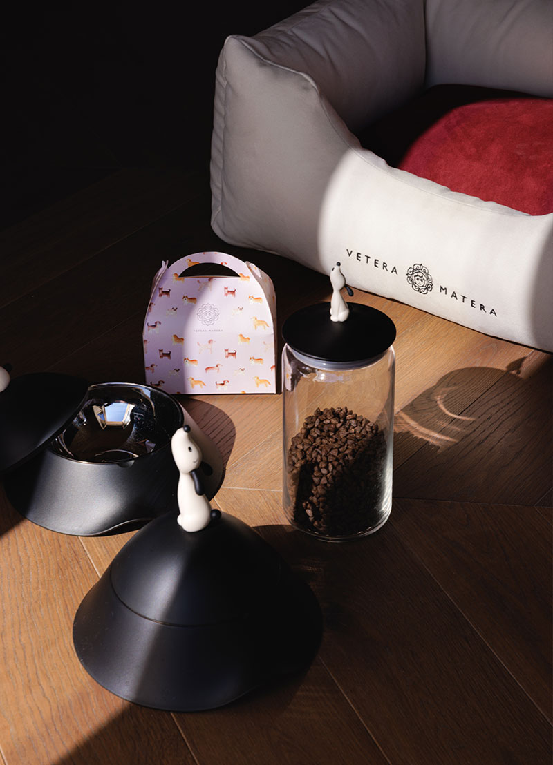 Pet Friendly Hotel Matera | Hotel Vetera Matera