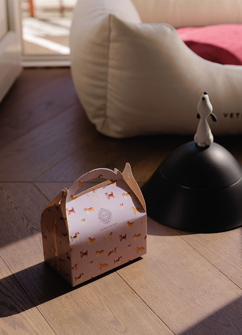 Pet Friendly Hotel Matera | Hotel Vetera Matera