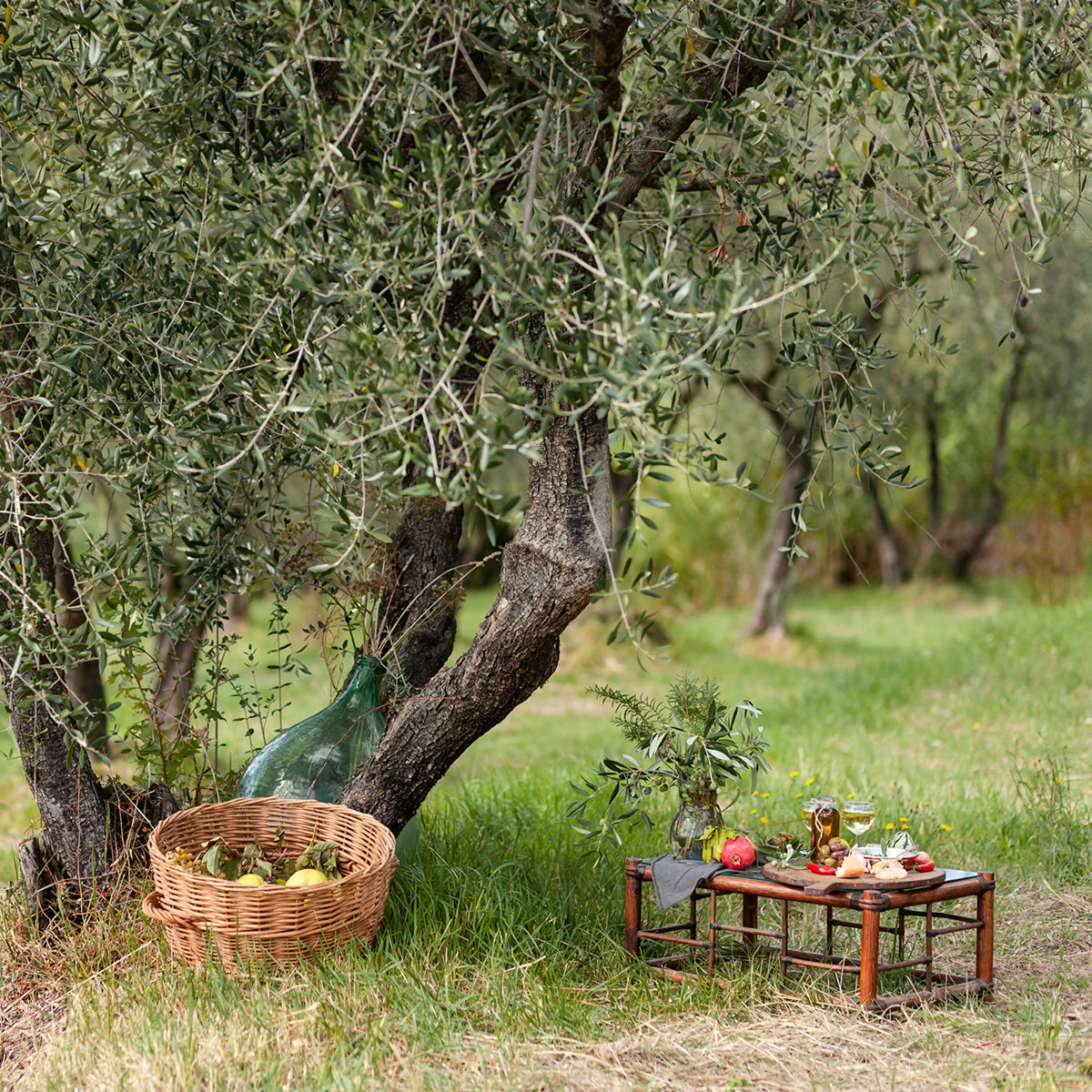 Pedalata nel Parco delle Chiese Rupestri con pic-nic in masseria