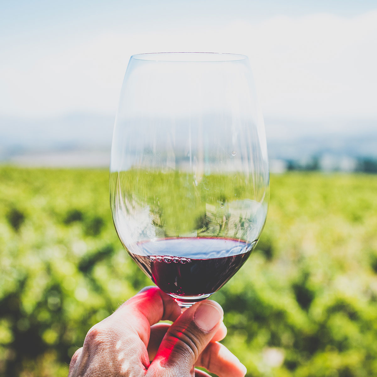 Matera Wine tour